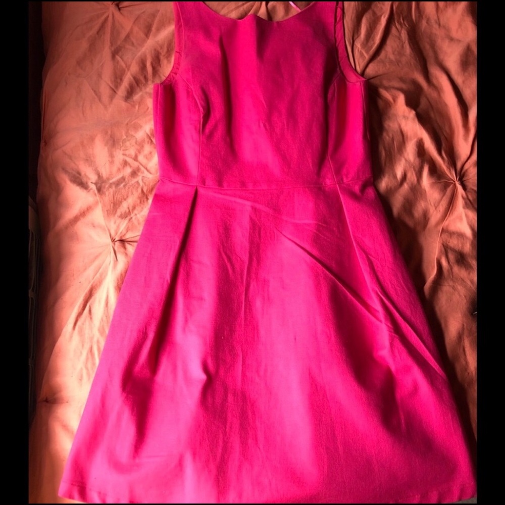 Zara Trafaluc pink dress